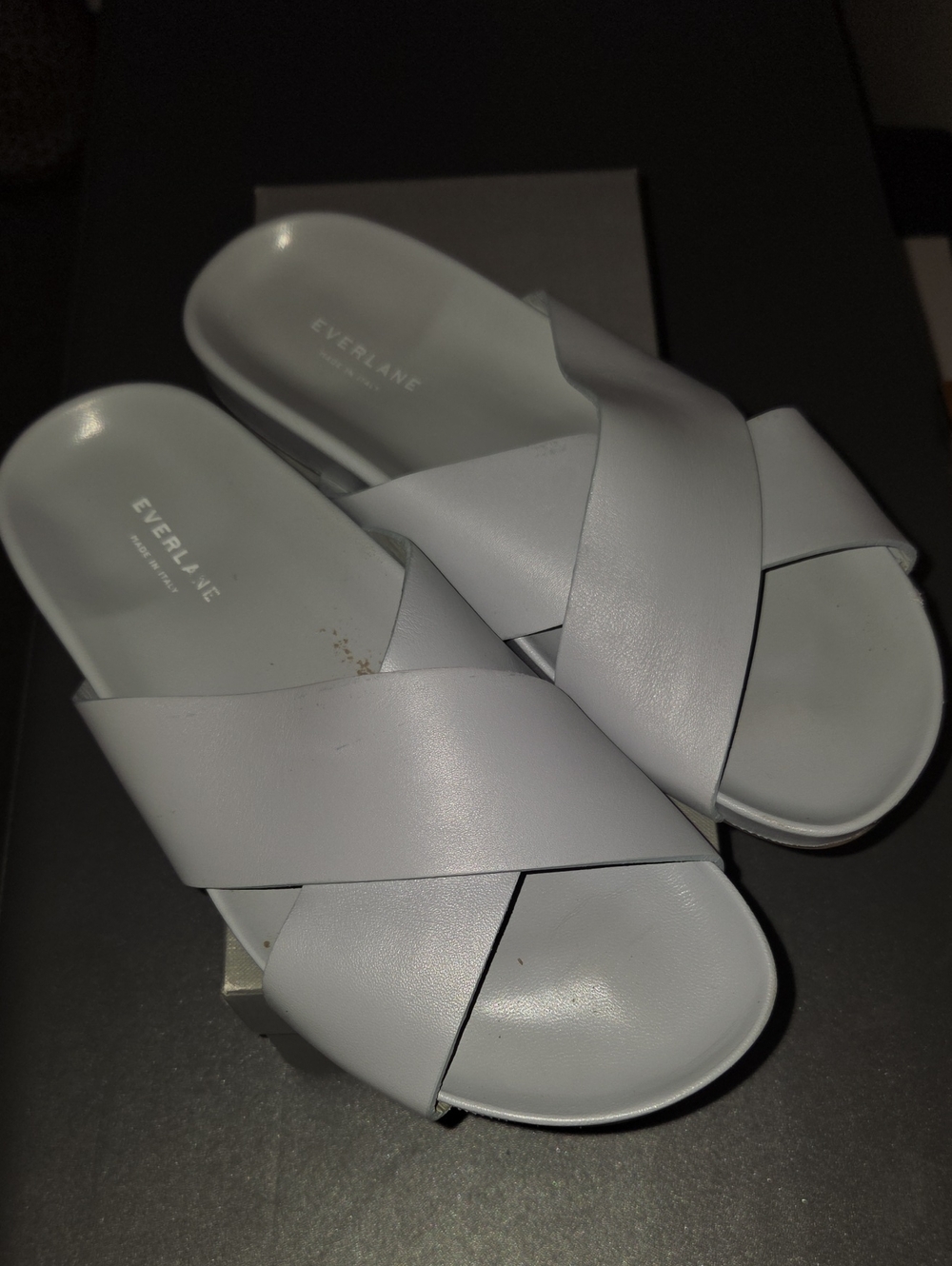 Everlane Light Blue Leather Cross-Over Slide Sandals